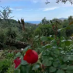 Апартаменты Casa Belvedere Diano San Pietro