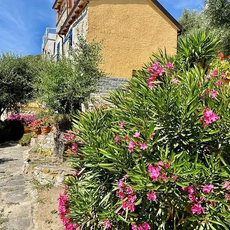 Casa Belvedere * Diano San Pietro