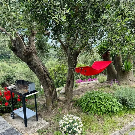 Appartement Casa Belvedere