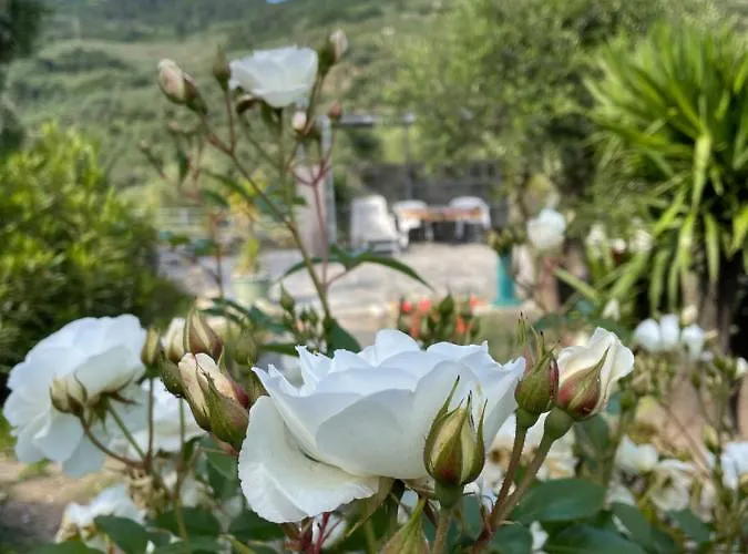 Casa Belvedere Apartament