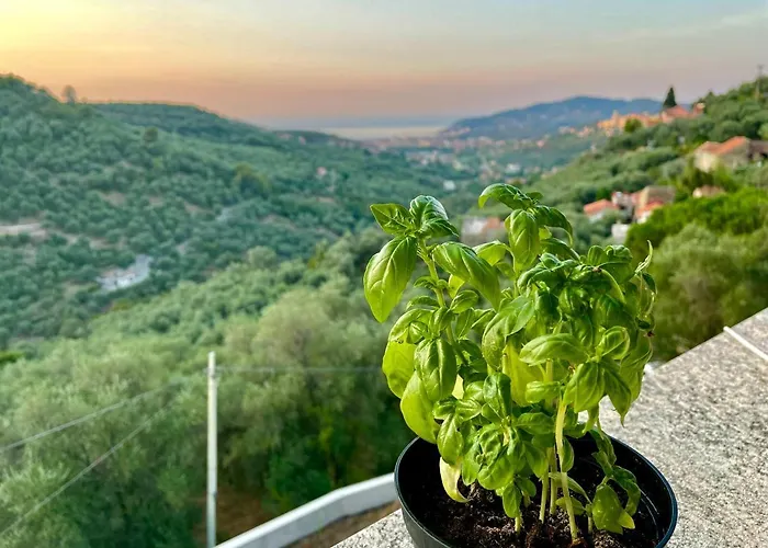 Casa Belvedere Apartament